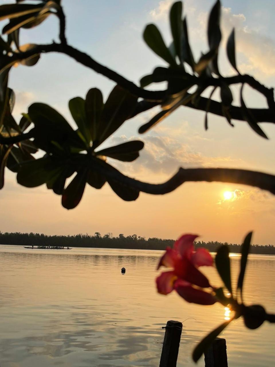 Coral Riverside Homestay & Hostel Hoi An Luaran gambar